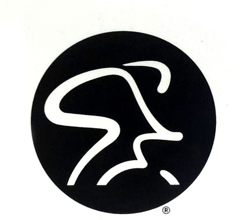 Spinning® Logo Sticker Set of 2