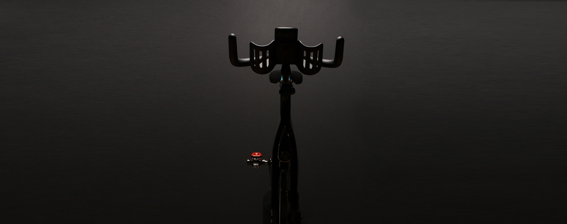 SP - Cat - Bikes